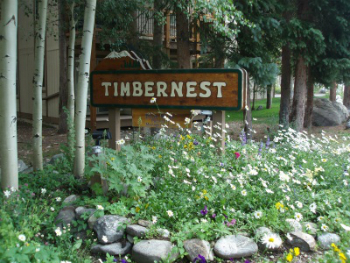 timbernest condos for sale